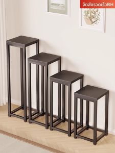 evesigar | Decorative Placement Indoor Iron Plant Stand