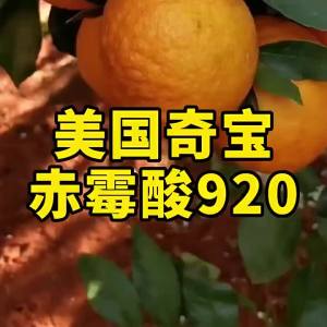 Qibao Gibberellic Acid 920 Plant Growth Regulator Extender American Wal-Mart Whole  Sale Free Shipping