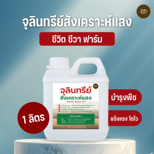 จุลินทรีย์สังเคราะห์แสง PSB 1 ลิตร ช่วยให้พืชผักโตเร็ว ต้นใหญ่ น้ำหนักเยอะ