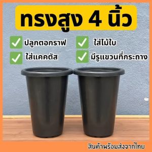 กระถางทรงสูง 4 นิ้ว กระถางไม้กราฟ กระถางตอกราฟ กระถางแขวน กระถาง4นิ้ว