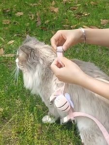 【KenCo】สายจูงสัตว์เลี้ยง เชือกจูงแมว  สายจูงหมา สามารถปรับได้  ป้องกันการคลายตัว