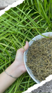 Giảo cổ lam 5 lá khô 1kg - tấn phát - Hàng công ty chất lượng cao chuyên dùng để pha trà hỗ trợ cải thiện sức khoẻ - Hàng loại 1 giá tốt