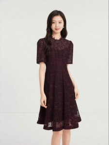 Koradior | Elegant Lace Dress