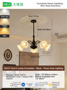 DGY | French Style Vintage Eye-Protecting Chandelier