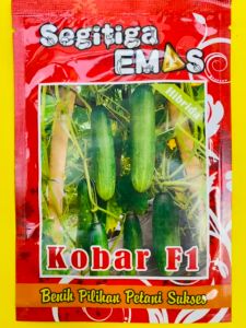 Benih Timun KOBAR F1 mentimun kemasan kemasan 20gram dari Segitiga Emas S