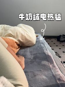 Double-Control Thickened Electric Blanket Temperature Regulation Automatic Switch off Student Dormitory Single Person Electric Quilt Winter Use