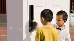 Lockin S5 Digital Door Lock Push Pull Smart Lock 2 Years Warranty - Imperial Door