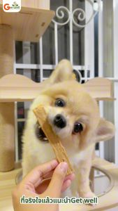 หมูแผ่น เสริมวิตามิน ผสม 3 สี ขนมหมา ขนมแมว ผสมผักอบกรอบ