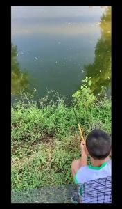 Merek terkenal Phoenix Land Joran Tegek Pancing Murah Joran Tegek Pancing Set Lengkap Senar dan Kail