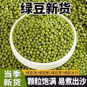 Fresh Sproutable Green Mung Beans