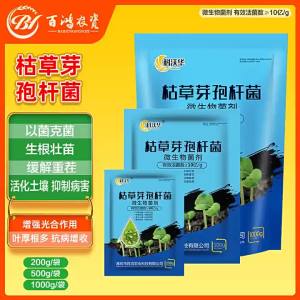 Bacillus Subtilis Water Soluble Fertilizer & Its Benefits