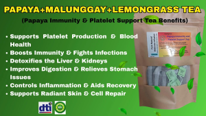 PAPAYA+MORINGA+LEMONGRASS (Papaya Immunity & Platelet Support Tea Benefits) 100% ALL NATURAL/ NO PRESERVATIVES