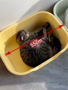 กระบะทรายแบบจัมโบ้ กระบะทรายแมว ใหญ่กระบะทรายแมว ห้องน้ำแมว พร้อมที่ตัก ขอบสูงกันกระเด็น แป้นเหยียบกรองทราย ห้องนน้ำแมวขนาดใหญ่ Cat litter box