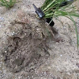 เครื่องมือดึงรากพืชแบบอเนกประสงค์ วัสดุเหล็กกล้าคาร์บอนสูง เชื่อมได้แข็งแรง ง่ายและประหยัดแรงงาน