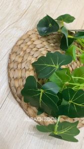 TANAMAN LOTUS AIR B8195 DAUN PLASTIK LATEX HIAS ARTIFICIAL TAHAN AIR