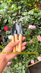BESTGUARD Garden Tool Set 3 Pcs - Alat Berkebun Kebun Taman Sekop Mini Alat Berkebun Perlengkapan Peralatan Perawatan Tanaman Kebun Taman
