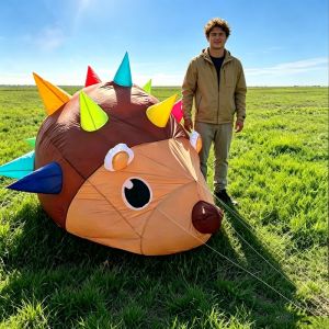 Hedgehog kites Pendant inflatable kites can walk not fly soft kite wind pointer toys big kite large kite fun weifang ikitefly