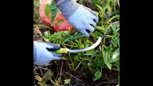 Long Handle Agricultural Weeding Tool 60cm For Gardening Harvest the Banana Betel Nut Open Road Cutting Grass Sickle Weeding Sickle Manganese Steel Agricultural Sickle GardenTools Blade Karet Scythe Bolo