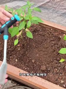 Vegetable Digging Shovel Garden Weeding Tool Spade Stainless Steel Garden Trowel Multi-Functional Household Transplanting Tools