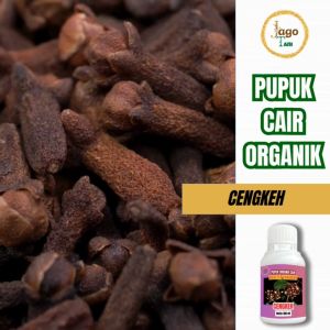 Pelebat Tanaman Cengkeh Pupuk Organik Cair 100 Ml Bantu Percepat Masa Tumbuh Jagotani Yogyakarta