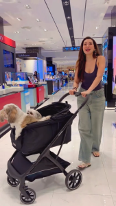 *NEW* BERND Groove Pet Auto Fold Stroller (stylish functional autofolding for 1-3 pets up to 30 kg)