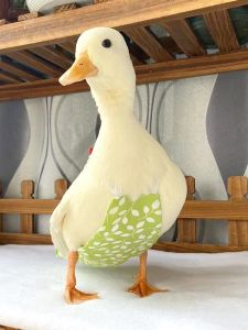 Internet Celebrity Cute Pet Koer Duck Poop Poop Civilization Poop Baby Diapers Clothes Traction Pet Duck Poop Goose Waterproof Diaper