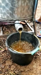 Madu Murni Asli 100% tanpa campuran-Murni Original-Asli dari Alam-Madu Mentah Raw Honey