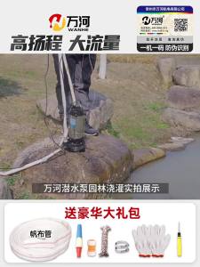 High Flow Domestic Small Submersible Pump 220v