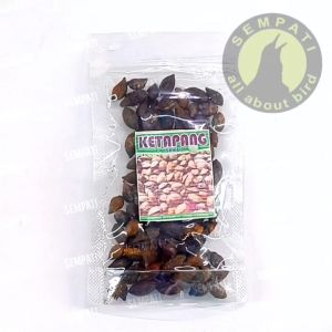 SEMPATI Biji Ketapang Organic Pilihan Untuk Makanan Burung Parrot Biji Ketapang Kencana Pakan Kakatua Lovebird Sun Conure Falk Betet Irn Nuri Afgrey Macau KTPRF