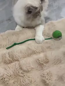 Cat Ball For Indoor Pets Interactive Cat Toy The 3rd Generation Smart Cat Toy With Elastic Mesh Tail Dog & Cat Toys Dog & Cat Accessories Interactive Cat Ball Toy Automatic Rolling Ball Suitable for Indoor Cats Rechargeable Electric Smart