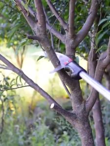 Adjustable Telescopic Tree Pruning Saw 7.5m Extendable Handheld Garden Shears with Anti-Slip Handle