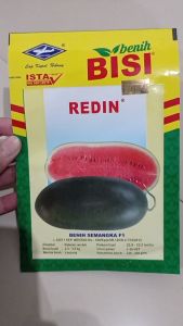 Benih Semangka Hibrida F1 REDIN Cap Kapal Terbang 10gram