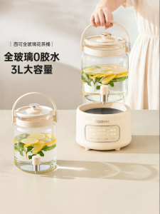 「China Plug」Health-Preserving Stewing & Tea Brewing Pot