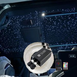 Optic Lighting Smart APP Twinkle Fiber engine RF Voice control Cable Starry Effect Ceiling Double Heads Lights lamp Key new LED