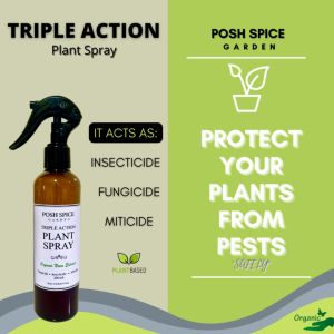 Triple Action Plant Insecticide: An Organic Neem Oil Spray