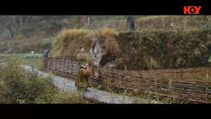 USB Flash Drive China Drama Cantonese 田耕纪 + 川内相亲 aka 卿卿日常 粤语大陆剧 粤语中字