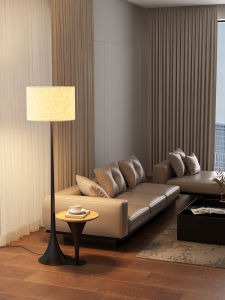BAISHIDENG | Luxury Style Living Room & Bedroom Floor Lamp