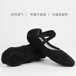 Womens Dance Shoes Elastic Fabric Ballet Classic Dance Practice Soft Bottom Cat Claw No Tie Professional Exam Preparation Shoes