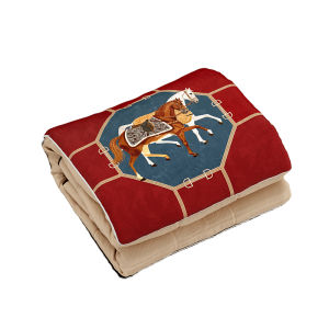 FANJUTAIDU | Multipurpose Pillow Blanket for Car and Office
