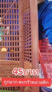 ตะกร้าพลาสติก ทรงสี่เหลี่ยม รุ่น A4 ขนาด กว้าง 35 x ยาว 45 สูง 15 ซม. ใส่กระดาษ A4 ได้ #ร้านมาร์ยอง