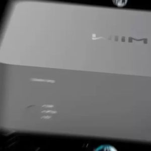 Wiim Vibelink Amplifier