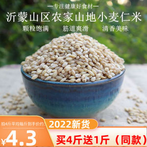 New Stock 2025 Year Wheat Berries Skin Removed Farmhouse Edible Cereal Grains for Porridge Large Grains of Barley Rice 500g