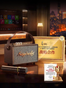 kinyo | Multifunctional Bluetooth Speaker and Microphone All in One Home KTV Outdoor Singing