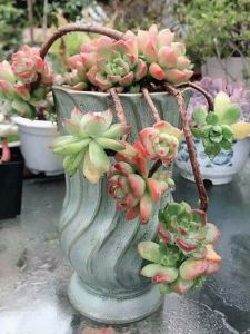 Rustic Ceramic Large Pot for Succulent Plants Breathable Vintage Style Home Garden Decorative Flower Pots Creative Personalized