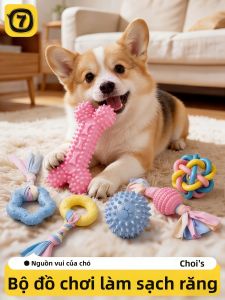 7o | Đồ Chơi Chewing Bền cho Thú Cưng Mọc Răng