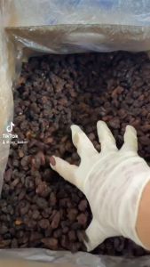 10kg ลูกเกดดำ **ยกลัง** พรีเมี่ยม นำเข้า เกรดAAA+ (BlackRaisin) **ลูกเกดดำ
