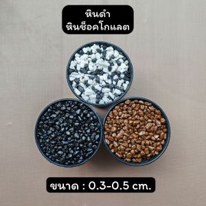 หินสีดำ หินโรยกระถางต้นไม้ หินแคคตัส หินตกแต่งตู้ปลา (200g. 500g.และ 1 kg.)