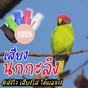 เสียงต่อนกกะลิง เมมเสียงต่อนกกะลิง แฟลชไดร์ฟเสียงต่อนกกะลิง มีเก็บเงินปลายทาง