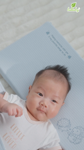 LULLABY - Gối chữ nhật thêu cho bé - NH425N