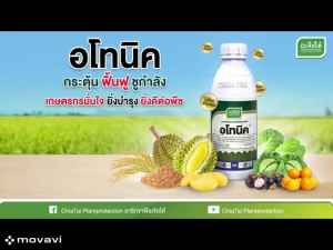 ชุดคู่หูพิชิตหนาว( 1 ชุด ฉีดได้ 10 ไร่) เสริมพลังให้ข้าว เพิ่มความแข็งแรง กระตุ้นการสังเคราะห์แสง
